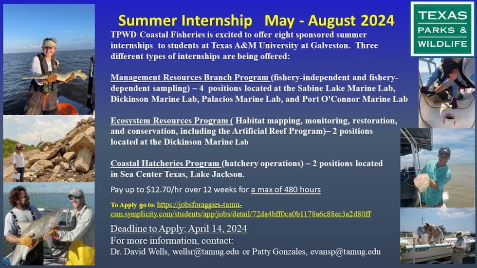 Summer Internship